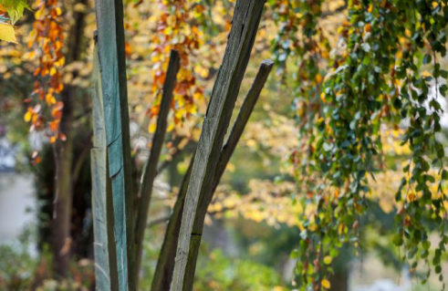 Jan Jastram, Offene Stelen (Foto: Jörg Schwarze)