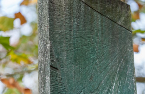 Jan Jastram, Offene Stelen (Foto: Jörg Schwarze)