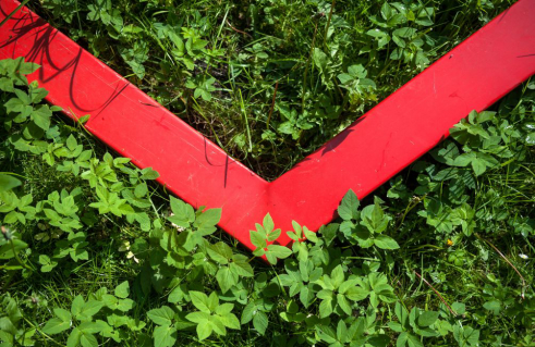 Gilbert Pink, Kreuzung von 71. Breiten- und Längengrad (Foto: Jörg Schwarze)