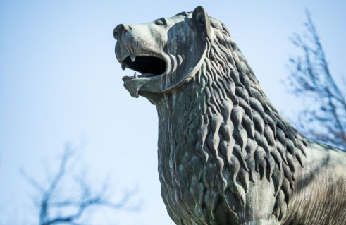 Unbekannter Künstler, Heinrich-der-Löwe-Denkmal – Kopie des Braunschweiger Löwen (Foto: Jörg Schwarze)