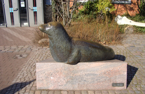 Christa Baumgärtel, Liegender Seehund