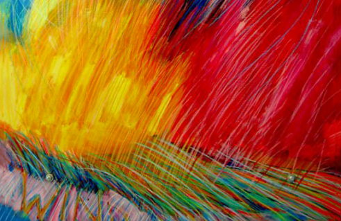 Eine Rose ist eine Rose ist eine Rose