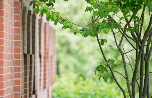 Uwe Bangert, Ohne Titel (Foto: Jörg Schwarze)
