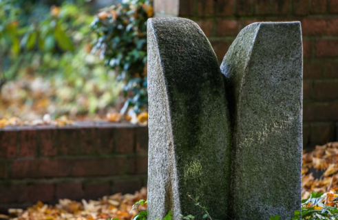 Peter Lei, Gewachsene Form (Foto: Jörg Schwarze)