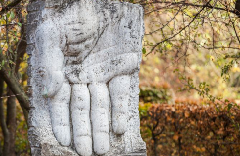 Guillermo Steinbrüggen, Die Hand (Foto: Jörg Schwarze)