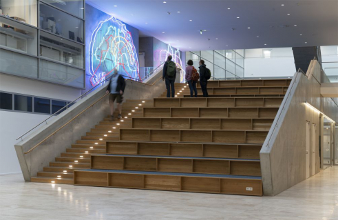 Olaf Bastigkeit, Gehirn (Foto: Olaf Bastigkeit)