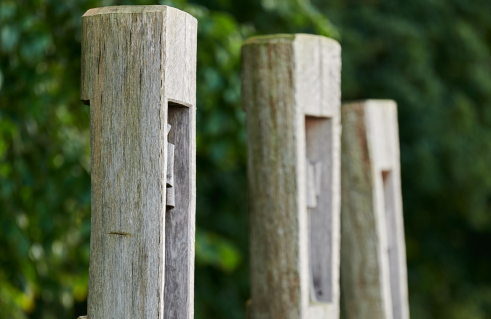 Verbunden / Duckdalben