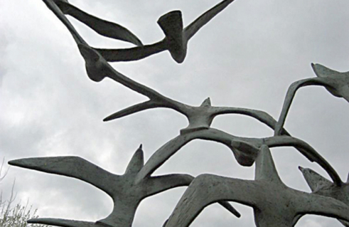 Auffliegender Vogelschwarm