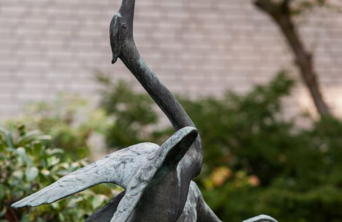 Karlheinz Goedtke, Fischreihergruppe (Foto: Jörg Schwarze)