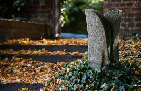 Peter Lei, Gewachsene Form (Foto: Jörg Schwarze)