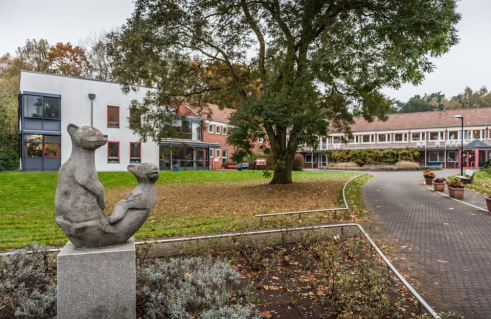 Karlheinz Goedtke, Spielende Bären (Foto: Jörg Schwarze)