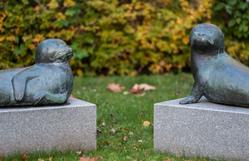 Karlheinz Goedtke, Robbenpärchen (Foto: Jörg Schwarze)